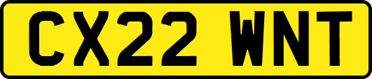 CX22WNT