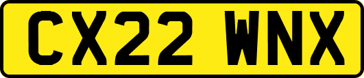 CX22WNX