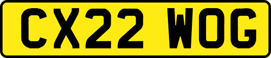 CX22WOG