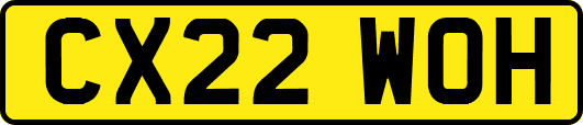 CX22WOH