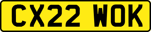 CX22WOK