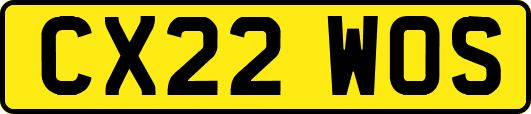 CX22WOS