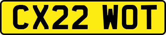 CX22WOT