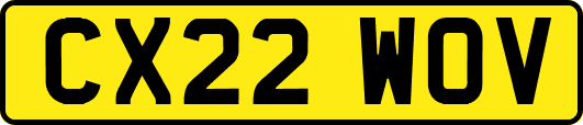 CX22WOV