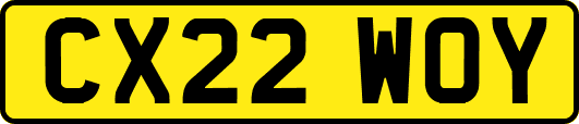 CX22WOY