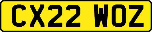 CX22WOZ