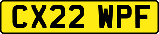 CX22WPF