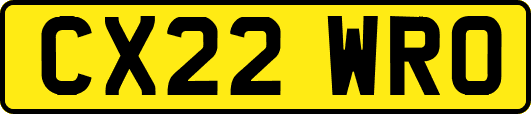 CX22WRO