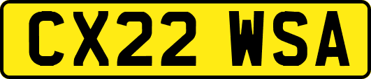 CX22WSA