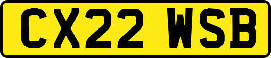 CX22WSB