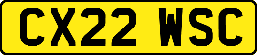 CX22WSC