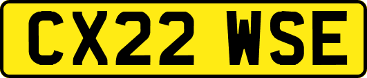 CX22WSE