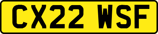 CX22WSF