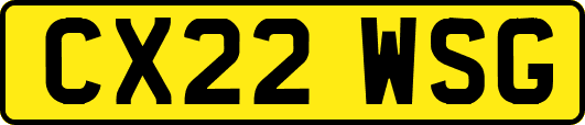 CX22WSG