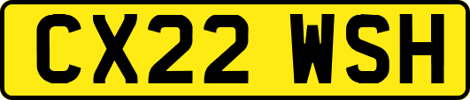 CX22WSH