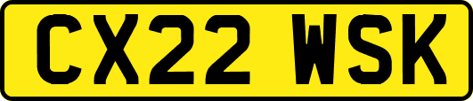 CX22WSK