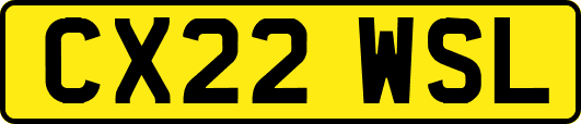 CX22WSL