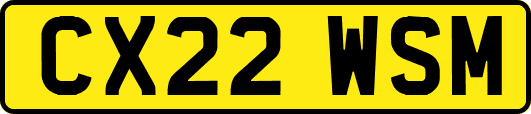 CX22WSM