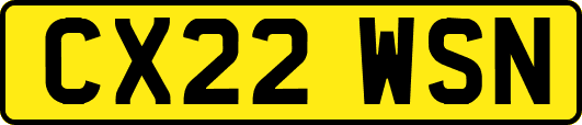 CX22WSN