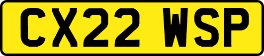 CX22WSP