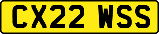 CX22WSS