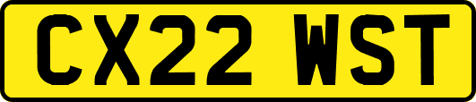 CX22WST