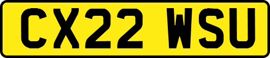 CX22WSU