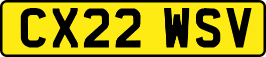 CX22WSV