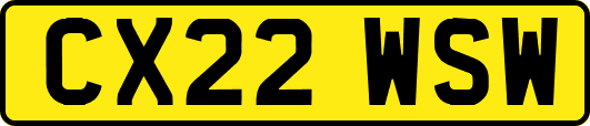 CX22WSW