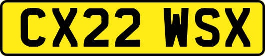 CX22WSX