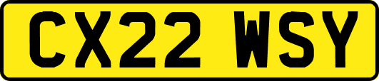 CX22WSY