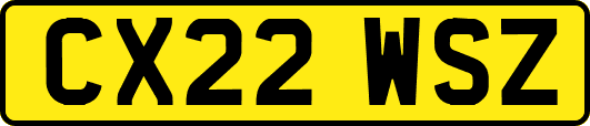 CX22WSZ