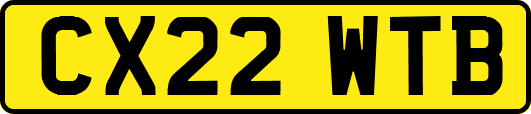 CX22WTB