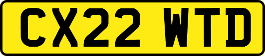 CX22WTD