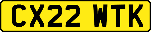 CX22WTK