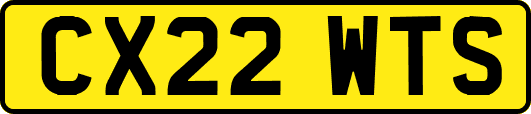 CX22WTS