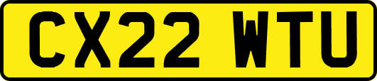 CX22WTU