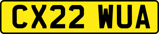 CX22WUA