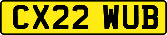 CX22WUB