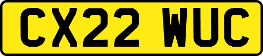 CX22WUC