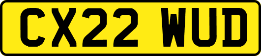 CX22WUD