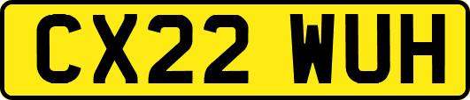 CX22WUH