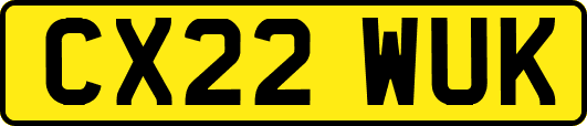 CX22WUK