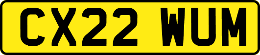 CX22WUM