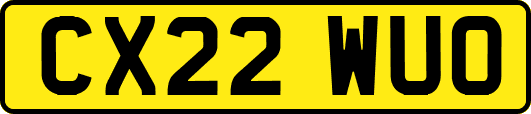 CX22WUO