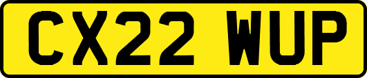 CX22WUP