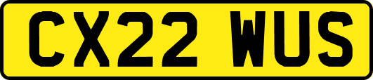 CX22WUS