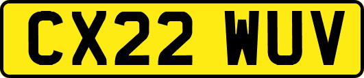 CX22WUV