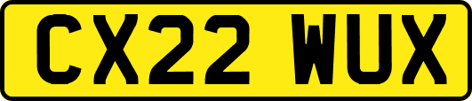 CX22WUX