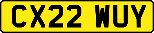 CX22WUY